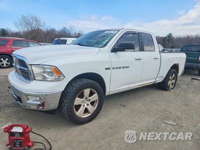2011 RAM RAM PICKUP 1500 1D7RV1GT8BS577161 - główne zdjęcie licytacji z USA - miniatura