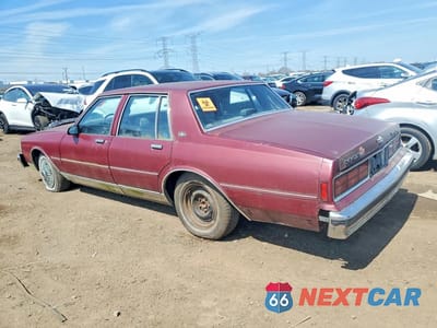 Drugie zdjęcie samochodu z przodu: 1981 CHEVROLET CAPRICE VIN:1G1BN51EXKR223915 - miniatura