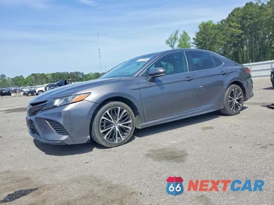 2019 TOYOTA CAMRY SE 4T1B11HK6KU746316 - główne zdjęcie licytacji z USA - miniatura