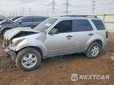 2011 FORD ESCAPE XLT 1FMCU0D71BKB01771 - główne zdjęcie licytacji z USA - miniatura