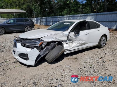 2021 ACURA TLX TECHNOLOGY 19UUB5F44MA007537 - główne zdjęcie licytacji z USA - miniatura