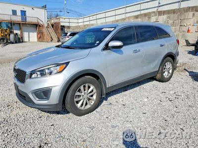 2016 KIA SORENTO LX 5XYPGDA35GG097842 - główne zdjęcie licytacji z USA - miniatura
