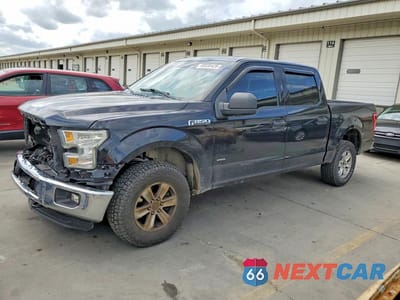 2016 FORD F150 SUPERCREW 1FTEW1EPXGFA88837 - główne zdjęcie licytacji z USA - miniatura