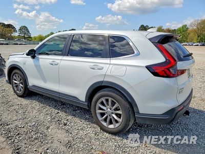 Drugie zdjęcie samochodu z przodu: 2024 HONDA CR-V EXL VIN:7FARS4H71RE005883 - miniatura