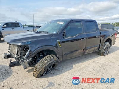 2024 FORD F150 STX 1FTEW2K53RKD15501 - główne zdjęcie licytacji z USA - miniatura