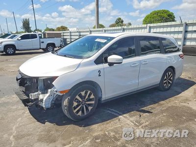 2025 HONDA ODYSSEYEXL 5FNRL6H65SB087408 - główne zdjęcie licytacji z USA - miniatura