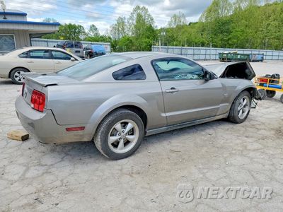 Trzecie zdjęcie samochodu z tyłu: 2009 FORD MUSTANG VIN:1ZVHT80N295139306 - miniatura