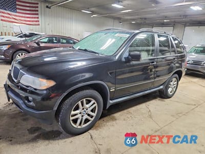 2006 BMW X5 3.0I 5UXFA135X6LY34786 - główne zdjęcie licytacji z USA - miniatura