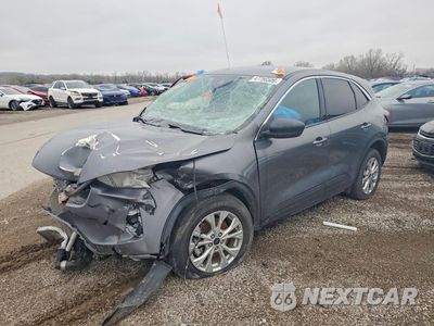 2024 FORD ESCAPE ACTIVE 1FMCU0GN9RUA72707 - główne zdjęcie licytacji z USA - miniatura