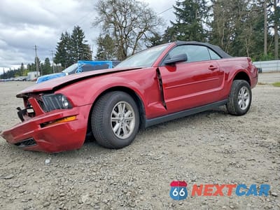 2005 FORD MUSTANG 1ZVFT84N955202770 - główne zdjęcie licytacji z USA - miniatura