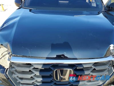 Zdjęcie 12 z 13 samochodu: 2024 HONDA PILOT EXL VIN:5FNYG2H40RB003612 - miniatura