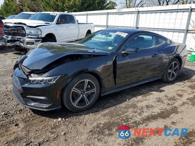 2024 FORD MUSTANG 1FA6P8TH2R5139834 - główne zdjęcie licytacji z USA - miniatura