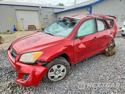 2012 TOYOTA RAV4 BASE 2T3BF4DV0CW194470 - główne zdjęcie licytacji z USA - miniatura