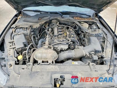 Zdjęcie 11 z 12 samochodu: 2016 FORD MUSTANG VIN:1FATP8UH0G5222113 - miniatura