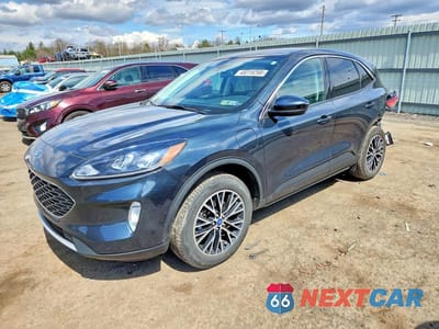 2022 FORD ESCAPE SEL 1FMCU0KZXNUA97197 - główne zdjęcie licytacji z USA - miniatura