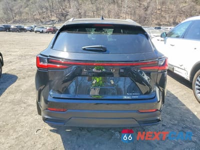 Zdjęcie 6 z 13 samochodu: 2025 LEXUS NX 350 BASE VIN:2T2AGCEZ0SC090005 - miniatura