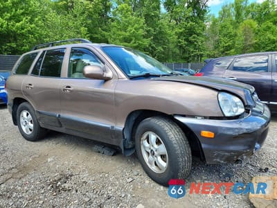 Czwarte zdjęcie samochodu z boku: 2005 HYUNDAI SANTA FE GLS VIN:KM8SC73E65U018899 - miniatura