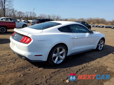 Trzecie zdjęcie samochodu z tyłu: 2019 FORD MUSTANG VIN:1FA6P8TH4K5124256 - miniatura