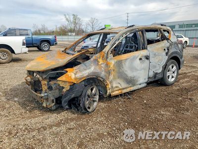 2014 TOYOTA RAV4 XLE 2T3RFREV3EW175344 - główne zdjęcie licytacji z USA - miniatura
