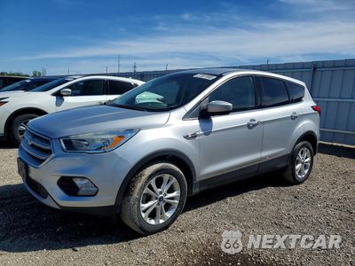 2019 FORD ESCAPE SE 1FMCU0GD4KUA31253 - główne zdjęcie licytacji z USA - miniatura