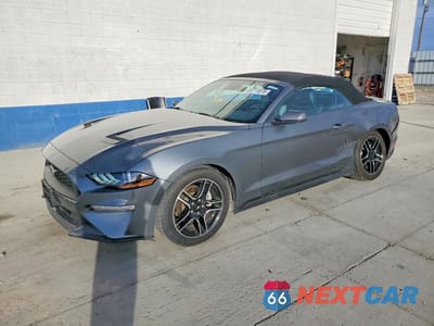 2023 FORD MUSTANG 1FATP8UH7P5111669 - główne zdjęcie licytacji z USA - miniatura