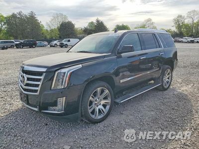 2015 CADILLAC ESCALADE PREMIUM 1GYS4CKJ4FR179520 - główne zdjęcie licytacji z USA - miniatura
