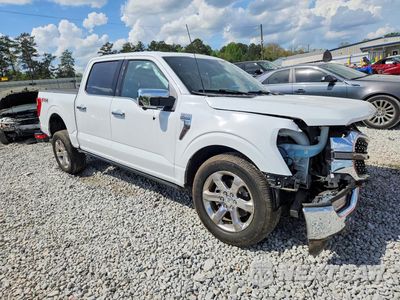 Czwarte zdjęcie samochodu z boku: 2023 FORD F150 SUPERCREW VIN:1FTFW1E58PFD21181 - miniatura
