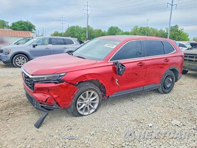 2024 HONDA CR-V EX 5J6RS4H46RL001255 - główne zdjęcie licytacji z USA - miniatura