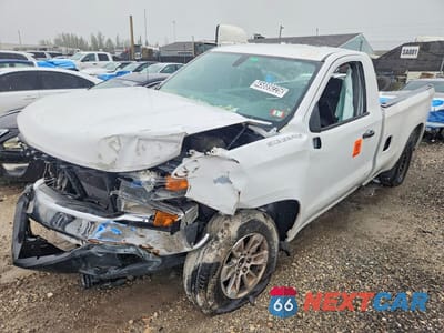 2020 CHEVROLET SILVERADO C1500 3GCNWAEF0LG306137 - główne zdjęcie licytacji z USA - miniatura