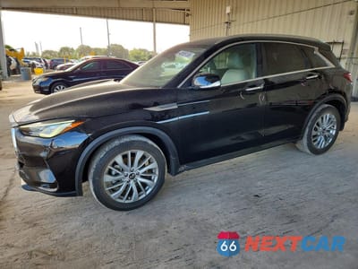 2024 INFINITI QX50 LUXE 3PCAJ5BA8RF103010 - główne zdjęcie licytacji z USA - miniatura