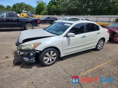 2010 HONDA ACCORD EXL 5KBCP3F89AB015477 - główne zdjęcie licytacji z USA - miniatura