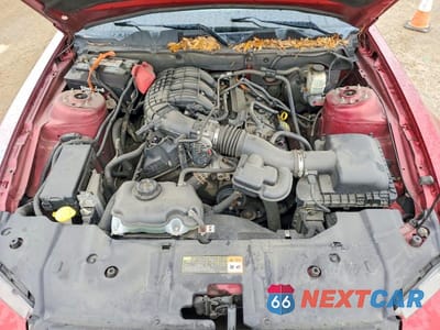 Zdjęcie 11 z 12 samochodu: 2014 FORD MUSTANG VIN:1ZVBP8AM1E5239584 - miniatura