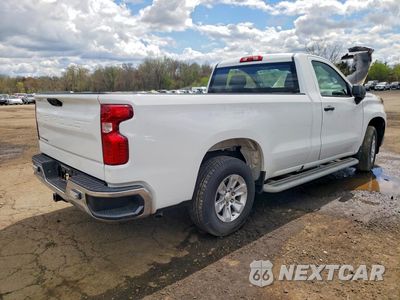 Trzecie zdjęcie samochodu z tyłu: 2023 CHEVROLET SILVERADO C1500 VIN:3GCNAAED7PG319289 - miniatura