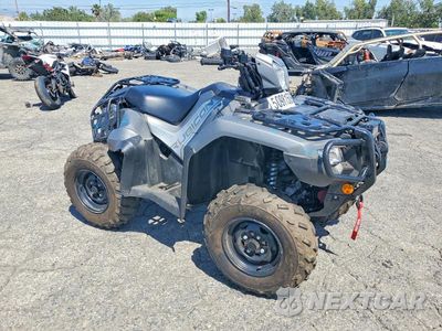 2025 HONDA FOREMAN ATV 1HFTE4552SJ100050 - główne zdjęcie licytacji z USA - miniatura