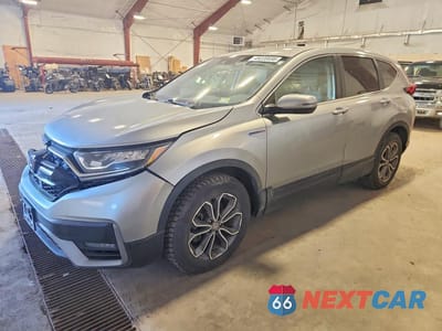 2020 HONDA CR-V EX 7FART6H58LE026079 - główne zdjęcie licytacji z USA - miniatura
