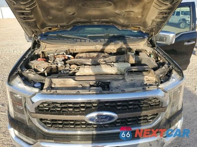 Zdjęcie 11 z 12 samochodu: 2021 FORD F150 SUPERCREW VIN:1FTFW1ED3MFB53808 - miniatura