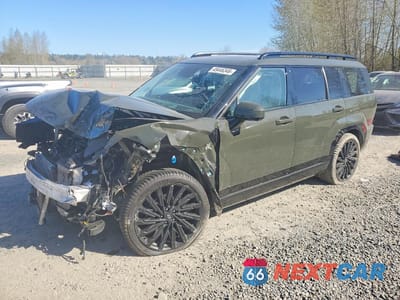 2024 HYUNDAI SANTA FE CALLIGRAPHY 5NMP5DGL5RH045424 - główne zdjęcie licytacji z USA - miniatura