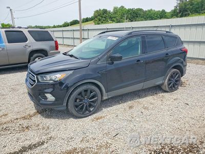 2019 FORD ESCAPE SE 1FMCU0GD7KUB29399 - główne zdjęcie licytacji z USA - miniatura