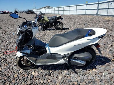 Trzecie zdjęcie samochodu z tyłu: 2022 HONDA WW150 VIN:RLHKF4709NY100806 - miniatura