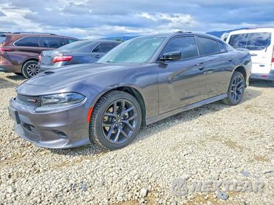 2019 DODGE CHARGER R 2C3CDXCT7KH584139 - główne zdjęcie licytacji z USA - miniatura