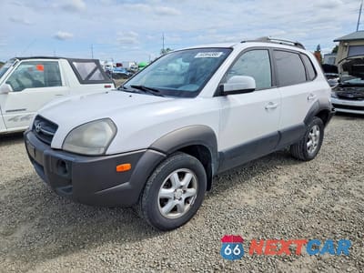2005 HYUNDAI TUCSON GLS KM8JN12D25U085396 - główne zdjęcie licytacji z USA - miniatura