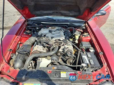 Zdjęcie 11 z 11 samochodu: 2004 FORD MUSTANG VIN:1FAFP44404F102515 - miniatura