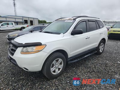 2009 HYUNDAI SANTA FE GLS 5NMSG13D59H325961 - główne zdjęcie licytacji z USA - miniatura