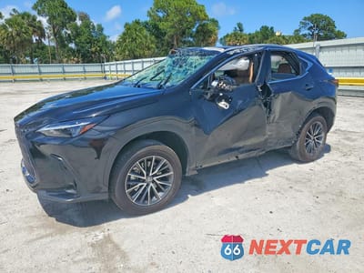 2025 LEXUS NX 250 PREMIUM 2T2GDCAZ2SC022880 - główne zdjęcie licytacji z USA - miniatura