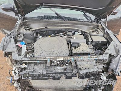 Zdjęcie 11 z 12 samochodu: 2025 KIA TELLURIDE SX X-LINE VIN:5XYP5DGC1SG698171 - miniatura