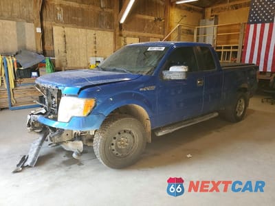2013 FORD F150 SUPER CAB 1FTFX1EF6DFD33749 - główne zdjęcie licytacji z USA - miniatura