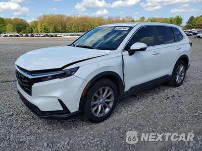 2024 HONDA CR-V EXL 7FARS4H71RE005883 - główne zdjęcie licytacji z USA - miniatura