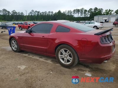 Drugie zdjęcie samochodu z przodu: 2014 FORD MUSTANG VIN:1ZVBP8AM1E5239584 - miniatura