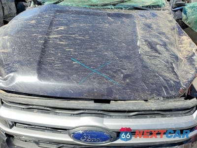 Zdjęcie 12 z 14 samochodu: 2024 FORD EXPEDITION XLT VIN:1FMJU1H86REA32259 - miniatura