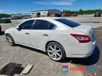 Drugie zdjęcie samochodu z przodu: 2011 NISSAN MAXIMA 3.5 S VIN:1N4AA5AP8BC836611 - miniatura
